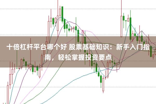 十倍杠杆平台哪个好 股票基础知识：新手入门指南，轻松掌握投资要点