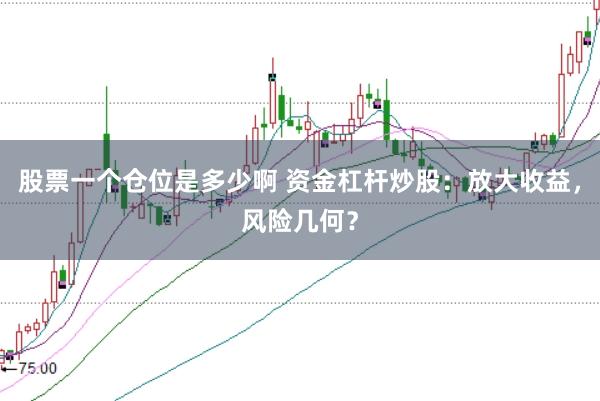 股票一个仓位是多少啊 资金杠杆炒股：放大收益，风险几何？