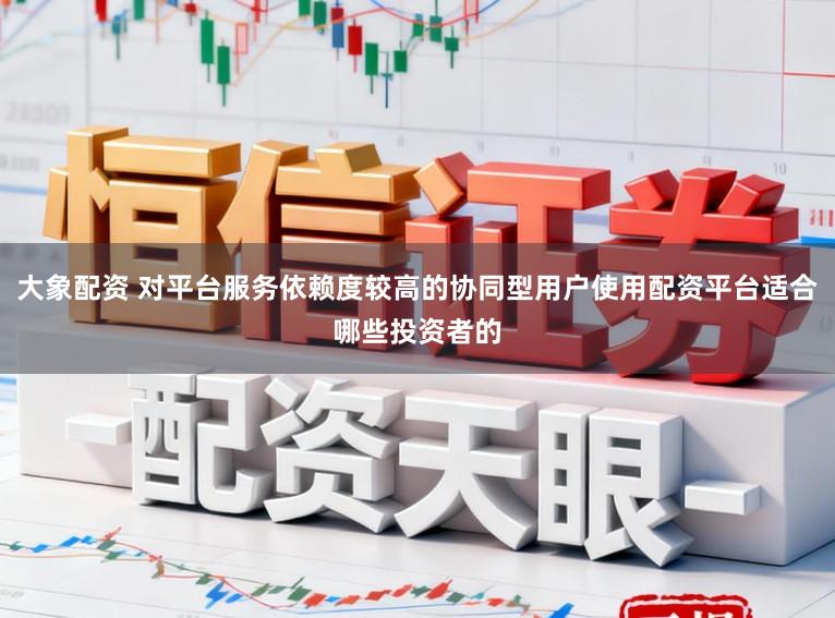 大象配资 对平台服务依赖度较高的协同型用户使用配资平台适合哪些投资者的