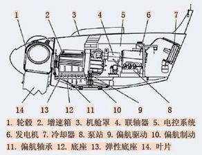 2011弗戈军训 弗戈工业媒体